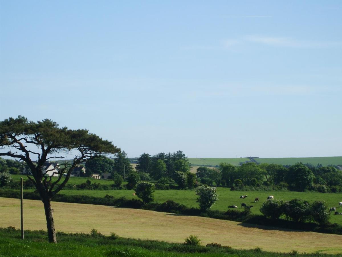 The Brown Hen Guest Accommodation Bandon Exterior foto